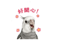 838238214