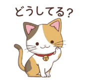 838239911