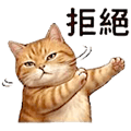 838240019
