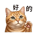 838240020