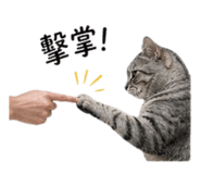 838240503