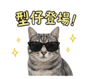 838240519