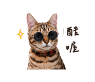 838240658