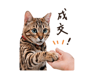 838240660