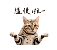 838240669
