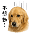 838241325