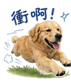 838241326