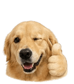 838241329