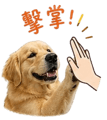 838241331