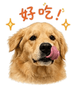 838241335