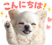 838244250