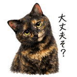 838245845