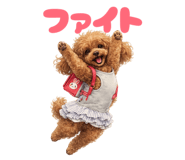 838247657