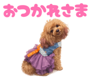 838247662