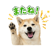 838247759