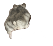 838247902