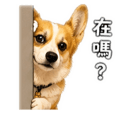 838249806