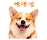 838249808