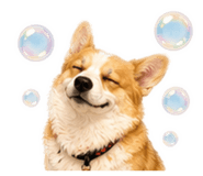 838249829