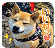 838252235