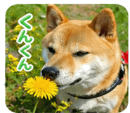 838252242