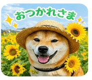 838252248