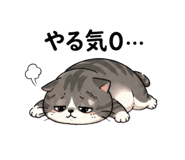 838252412