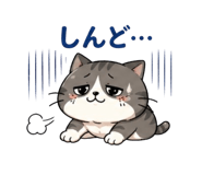 838252418