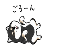 838253039
