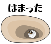 838255428
