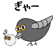 838255438