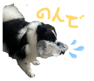 838261892