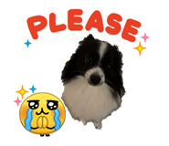 838261898