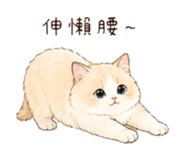 838262268