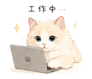 838262274