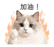 838262404