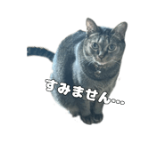 838262787