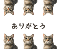 838263767