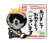 838265464