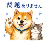 838266554