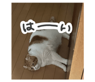 838267008