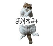 838267010