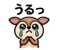 838268645