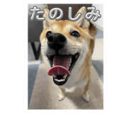 838269201
