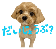 838269364