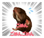 838269732