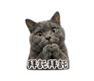 838272450