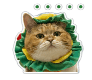 838274107