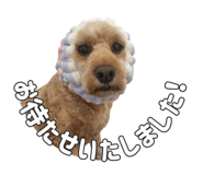 838276335