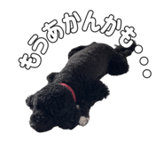 838276339